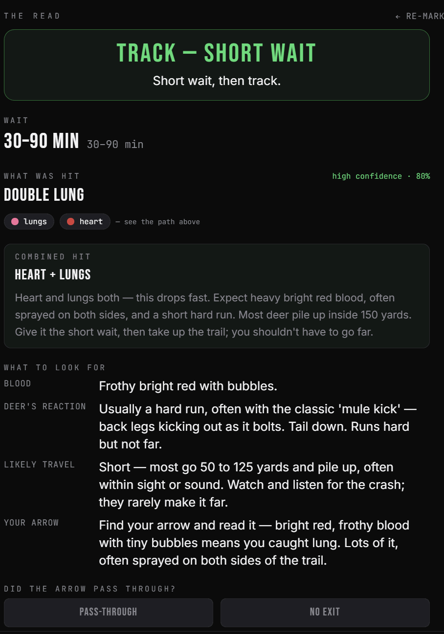 Recovery read — double lung, short wait, blood sign